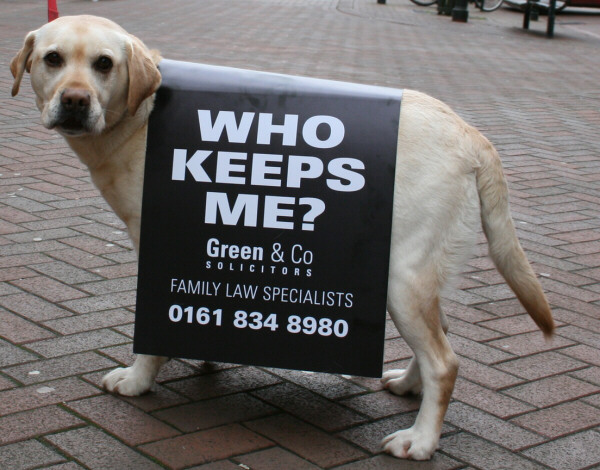 Canine Advertising