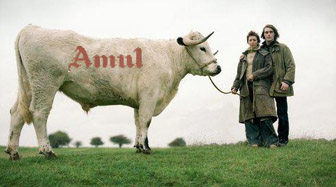 Cow